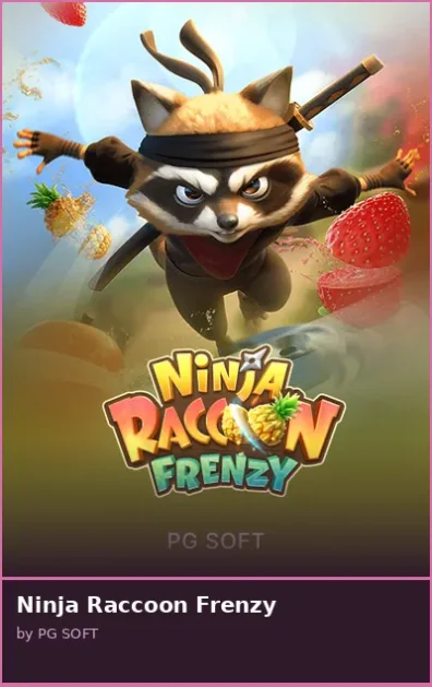 Ninja Raccoon Frenzy